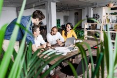 住宅项目整体建设管理